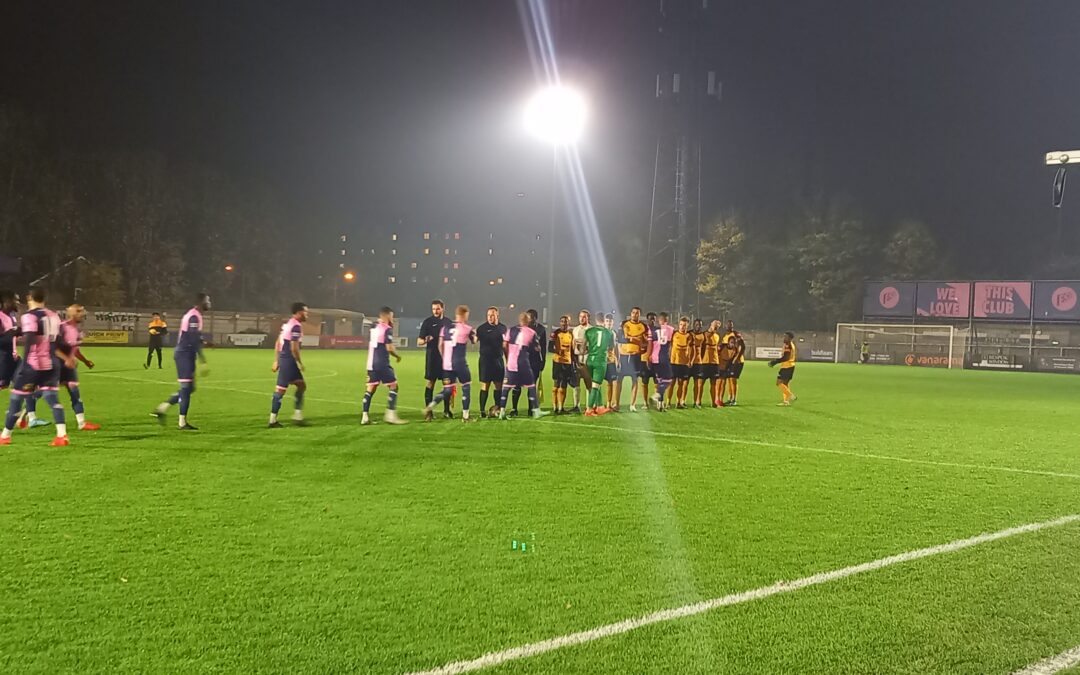 Dulwich Hamlet 4 Cray Wanderers 3 – London Senior Cup 2nd Round, 30/11/22 – Match Report