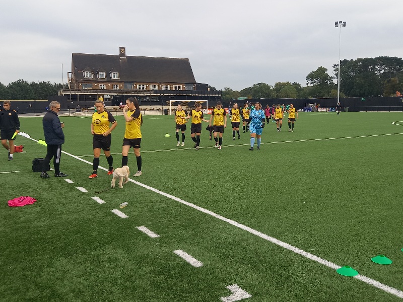 Cray Wanderers Women 1 Sevenoaks Town Women 4 – SECWFL Premier – Sunday 13th October – Match Report