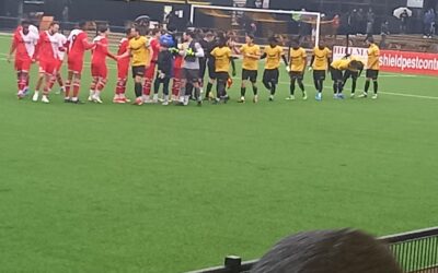 Cray Wanderers 1 Dulwich Hamlet 0 – Isthmian Premier, Saturday 1st January 2025 – Match Report