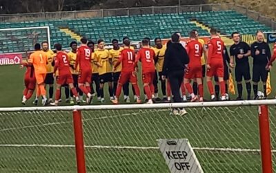 Whitehawk 2 Cray Wanderers 0 – Isthmian Premier – Saturday 25th January – Match Report