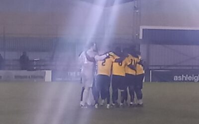 Wingate & Finchley 1 Cray Wanderers 0 – Isthmian Premier, Tuesday 28th January – Match Report