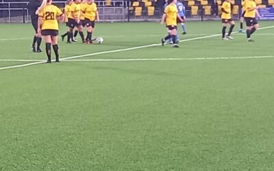 Cray Wanderers Women 3 London Road Women 3 – SECWFL Premier – 2/2/25