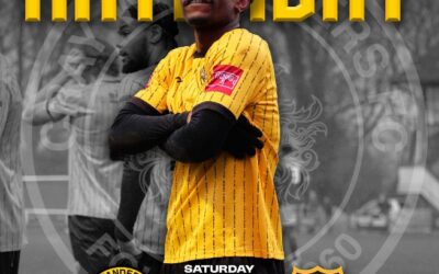 Cray Wanderers vs Cheshunt – Isthmian Premier – Saturday 15th February, 3 pm – Match Preview, the thoughts of Neil Smith & Directions for newcomers